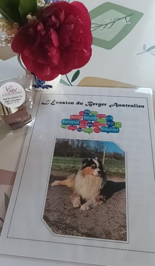 L'Evasion Du Berger Australien Lejlighed Couvin Eksteriør billede